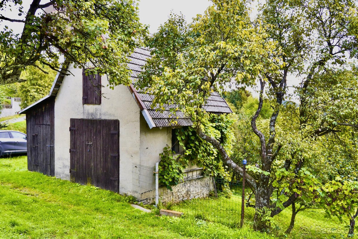 Zrekonštruovaná vidiecka chalupa / rodinný dom na predaj – L - 11