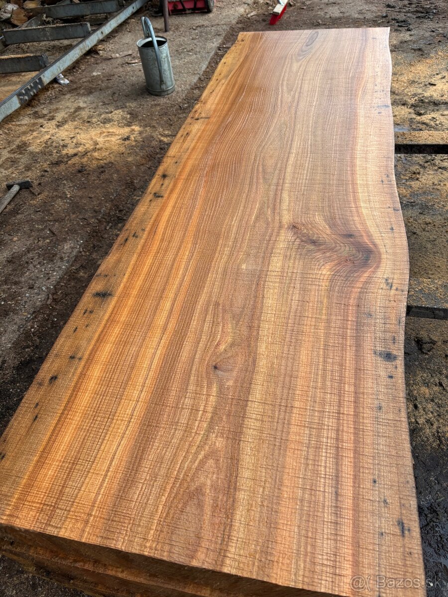 Rezivo Brest Brestove Fošne Kmene Drevo - 11