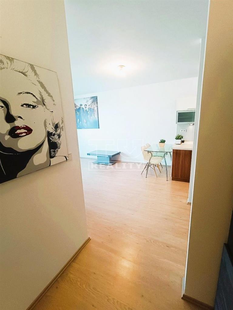 PRENÁJOM 2-IZBOVÝ BYT,NOVOSTAVBA,LOGGIA,PARKING,NOVÉ... - 11