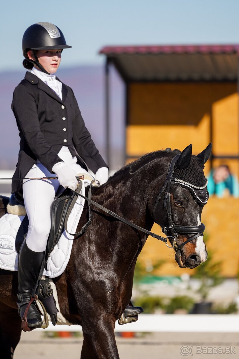 Skúsený pony B (146 cm) do drezúry, aj do parkúru - 11