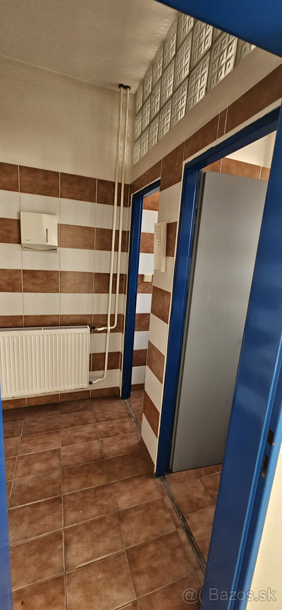 Obchodný priestor Veľký Krtíš - 11