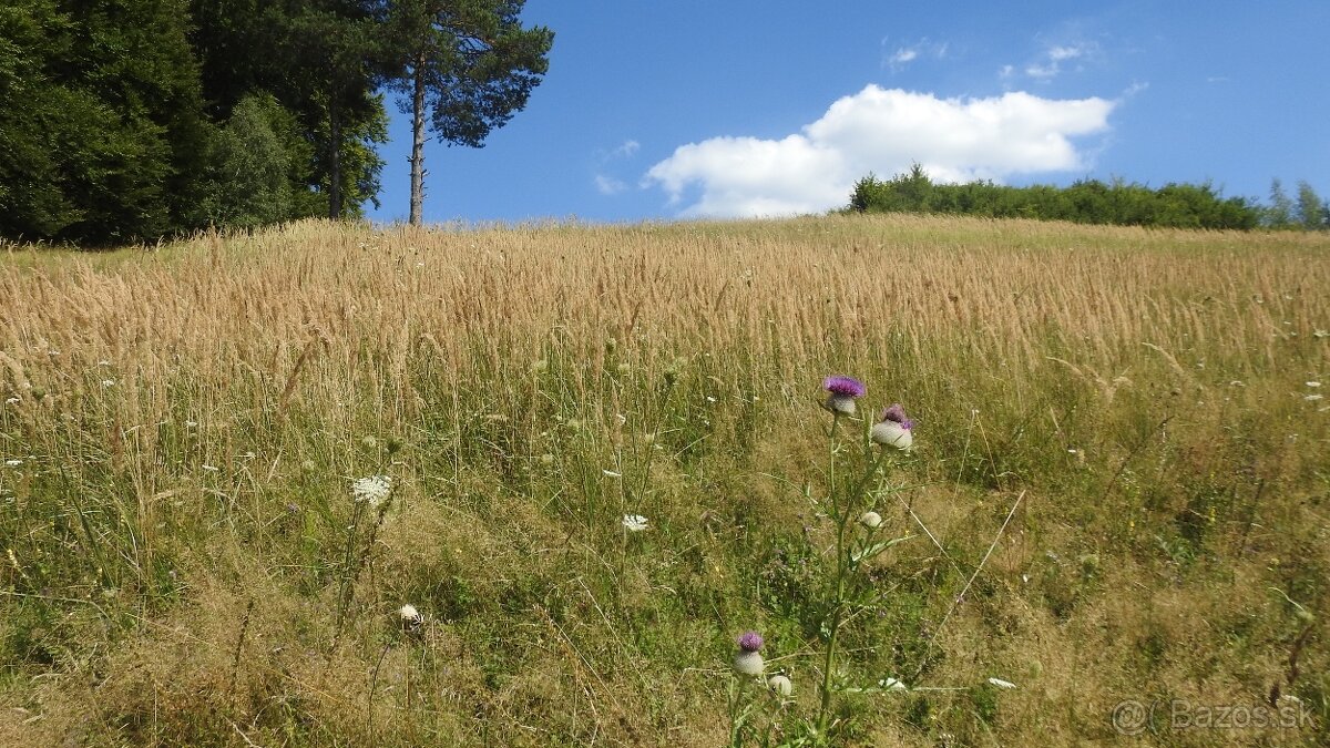 Pozemok na predaj 5 eur m2 Ski Park Desna - 11