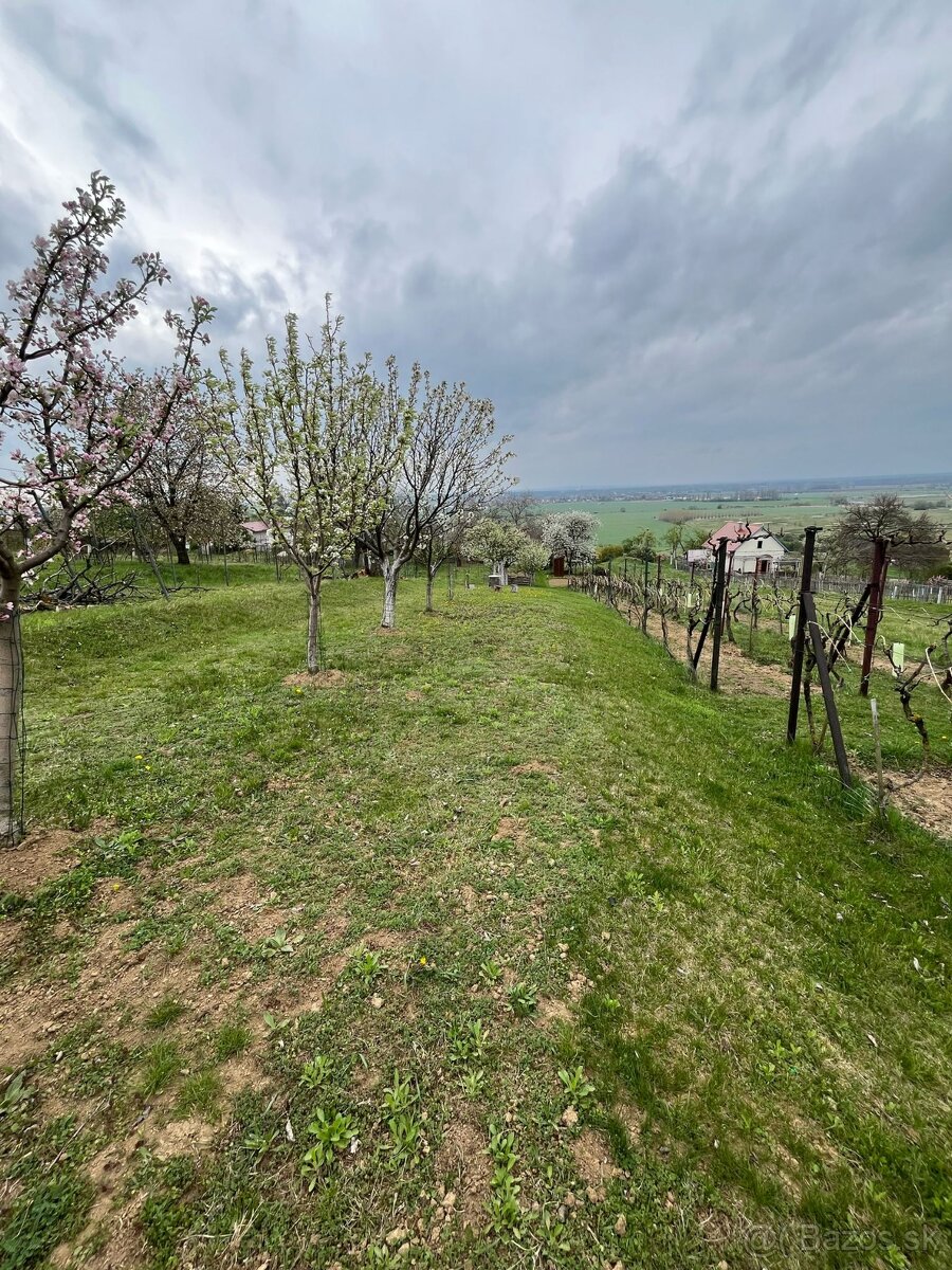 ZĽAVNENÉ • Na predaj vinohrad. domček s pivnicou a pozemkom - 11