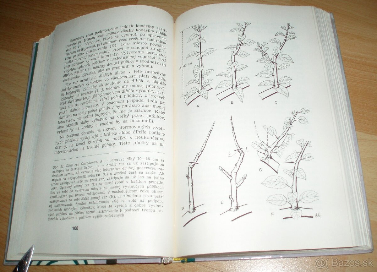 Rez a tvarovanie ovocných drevín - 11