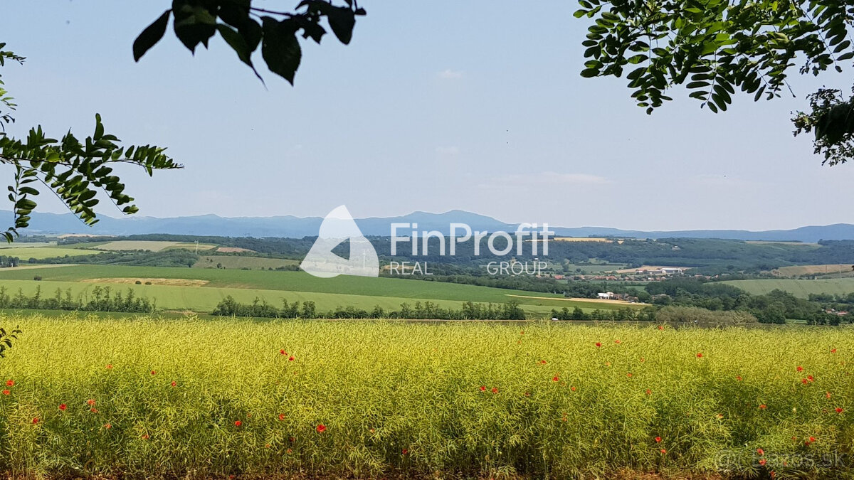 Predám dva vinohradnícke domy s pozemkami medzi vinohradmi p - 11