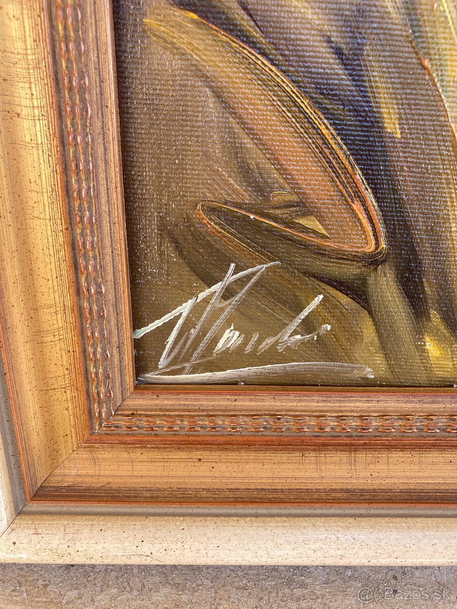 Obrazy, portréty - 11