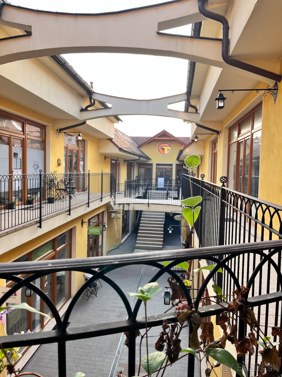 Prenajmem 1 izbovy byt v centre Skalice - 11