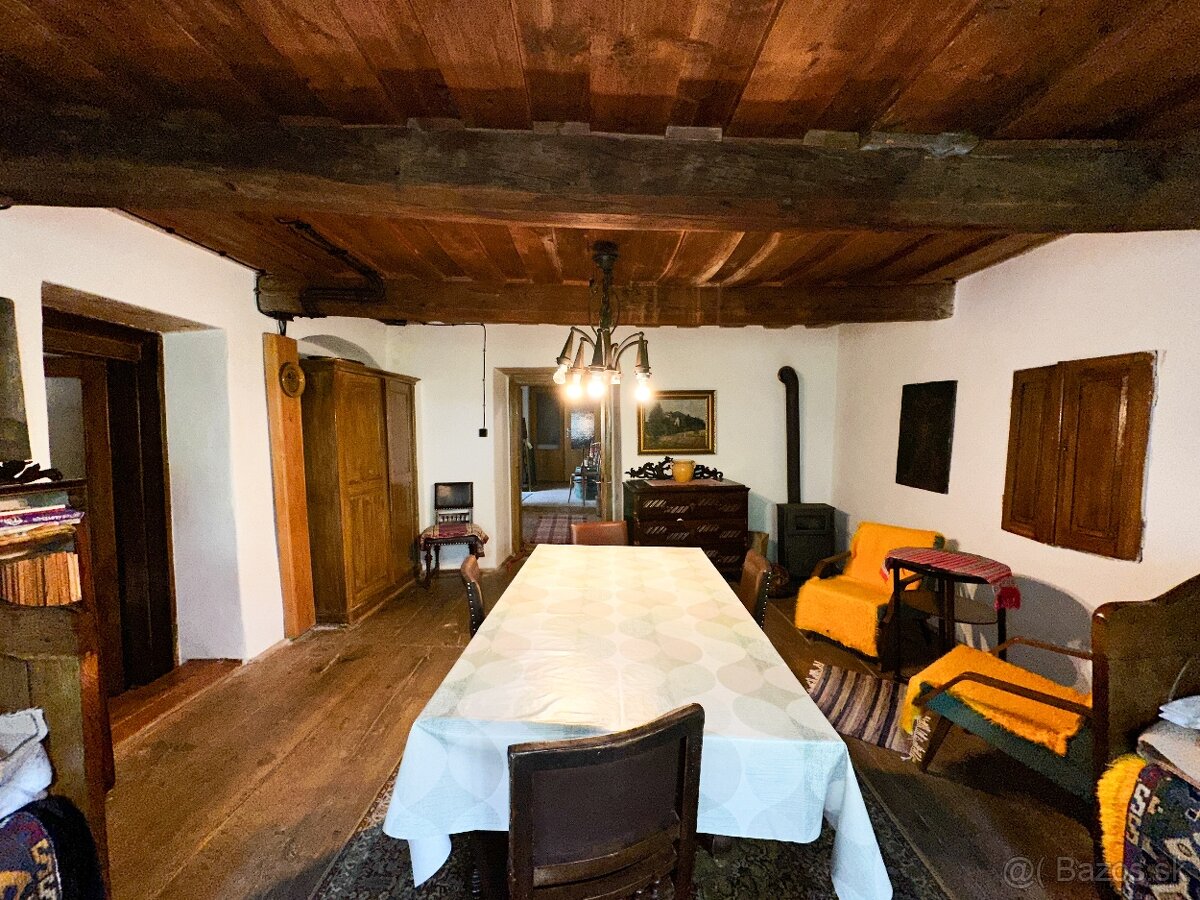 Rozsiahly pozemok s chatou v obci Hrušov - 11