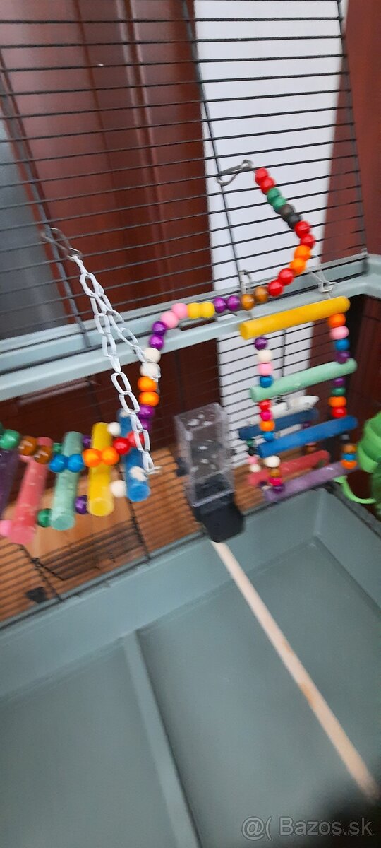 Klietka pre vtáčiky XXL - 11