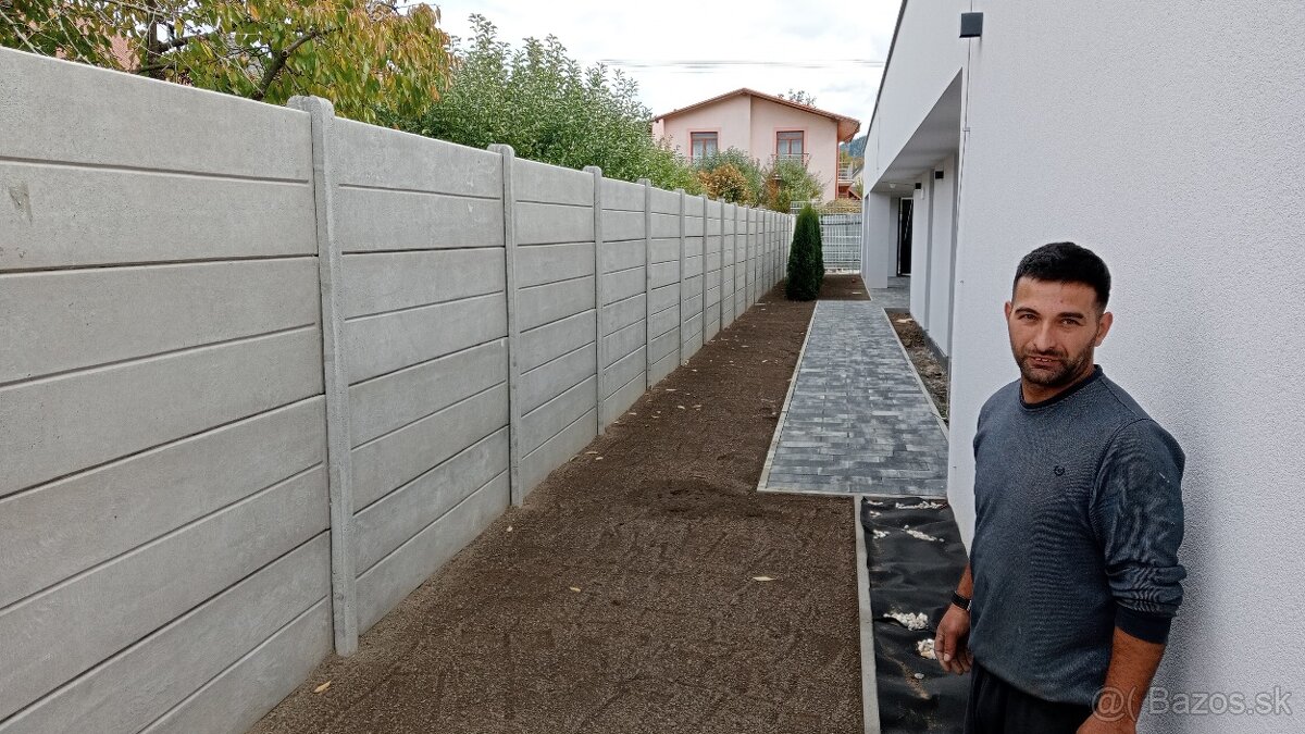 Tuja Smaragd, vavrínovec, červienka, gaštan - Prešov - 11