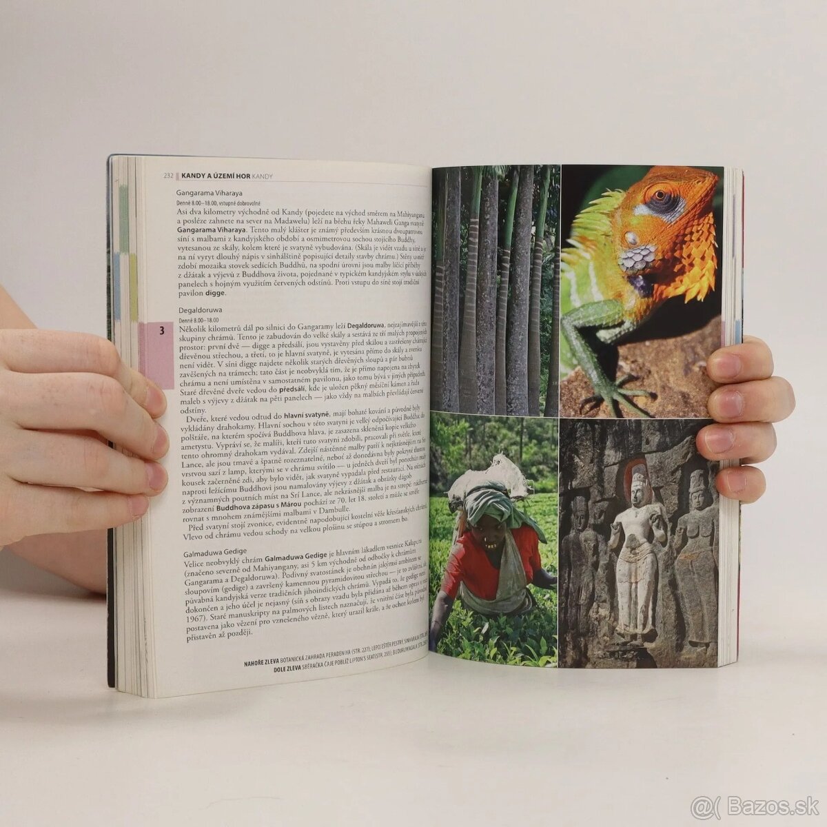 Srí Lanka - český turistický sprievodca Rough Guides - 11