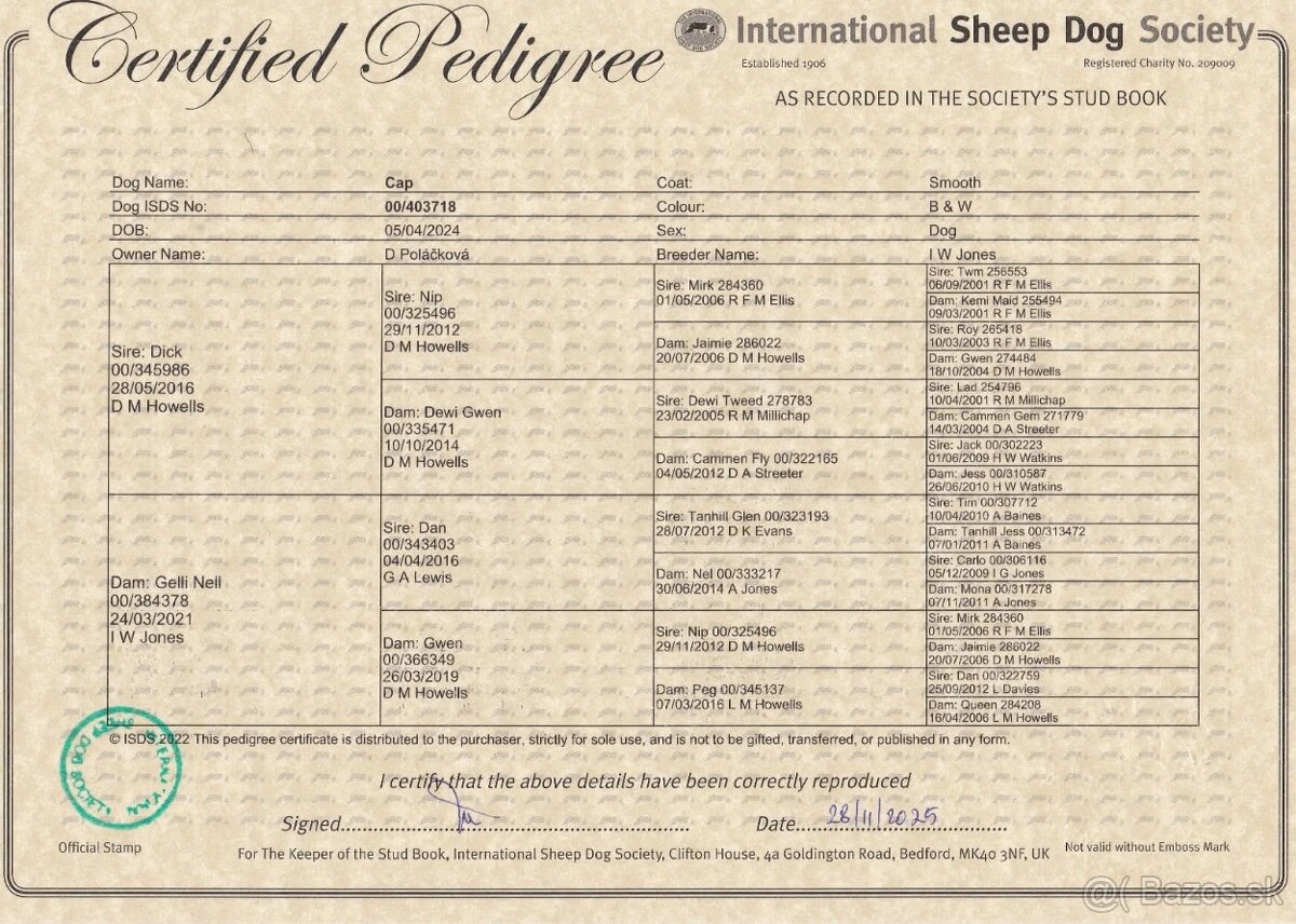 Border kólia s PP - 11