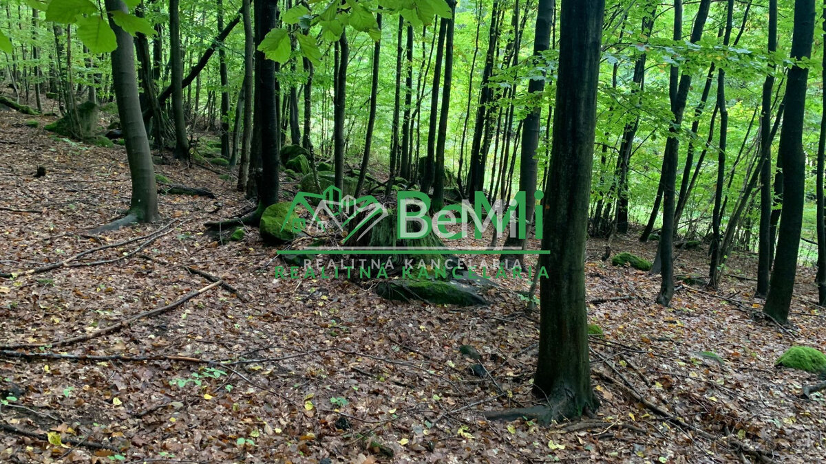 Pozemok pre mobilný dom 3970 m2, polosamota, Michalková - 11