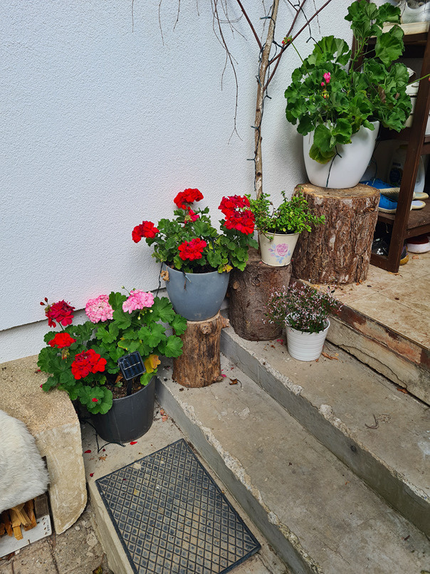 Záhrada s murovanou chatou s nádherným výhľadom - 11