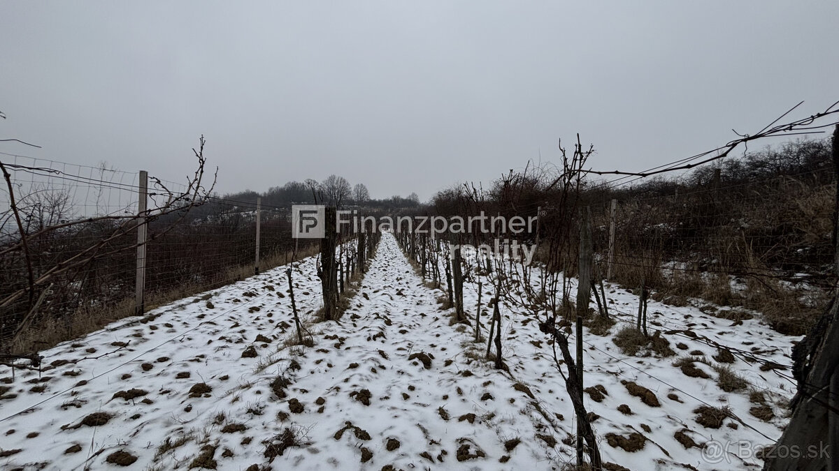 REZERVOVANÉ - Vinohrad 1862 m², v meste Pezinok + 3D - 11
