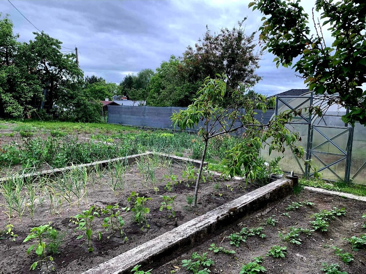 Na predaj: Samostatne stojaci 6-izbový rodinný dom - 11