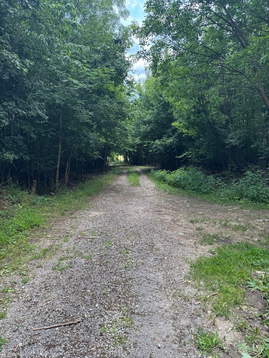 Hatfa - bývale kúpele v obci Viničky - 11