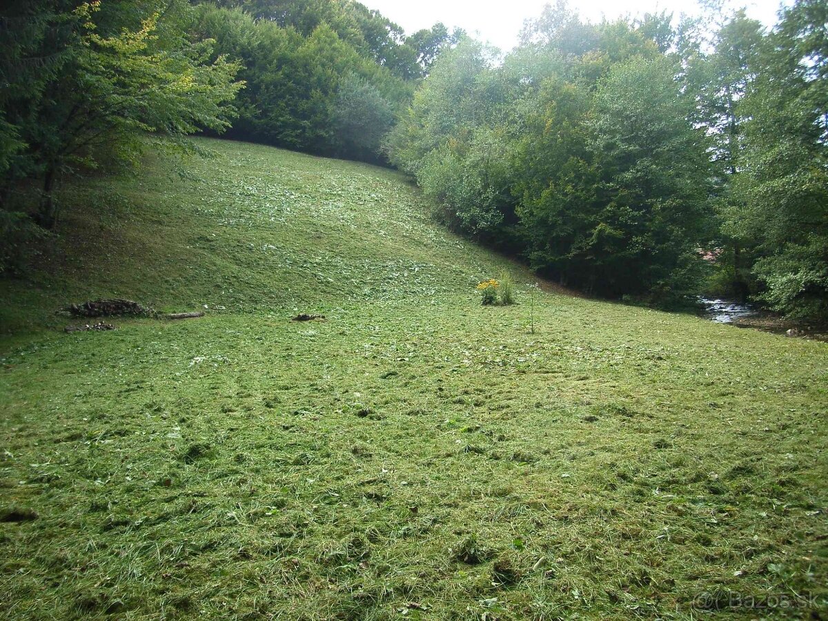 Na predaj veľký lesný pozemok Drietoma - Liešna, 6549m2 - 11