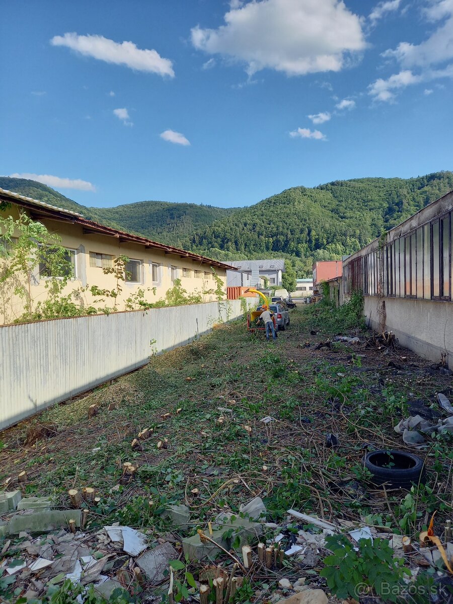 Výrub a opilovanie stromov LACNO A BEZPEČNE - 11