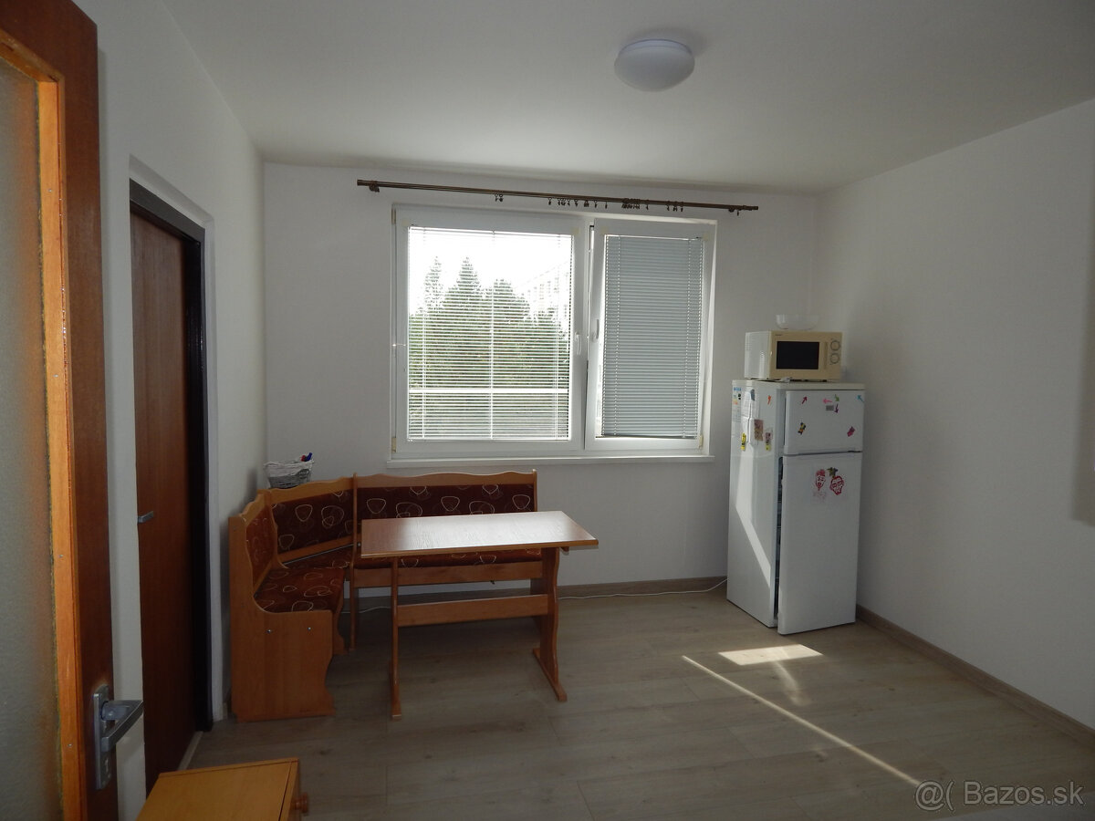 SPEKTRUM REALITY- Na PRENÁJOM komplet rekonštruovaný 1-izbov - 11