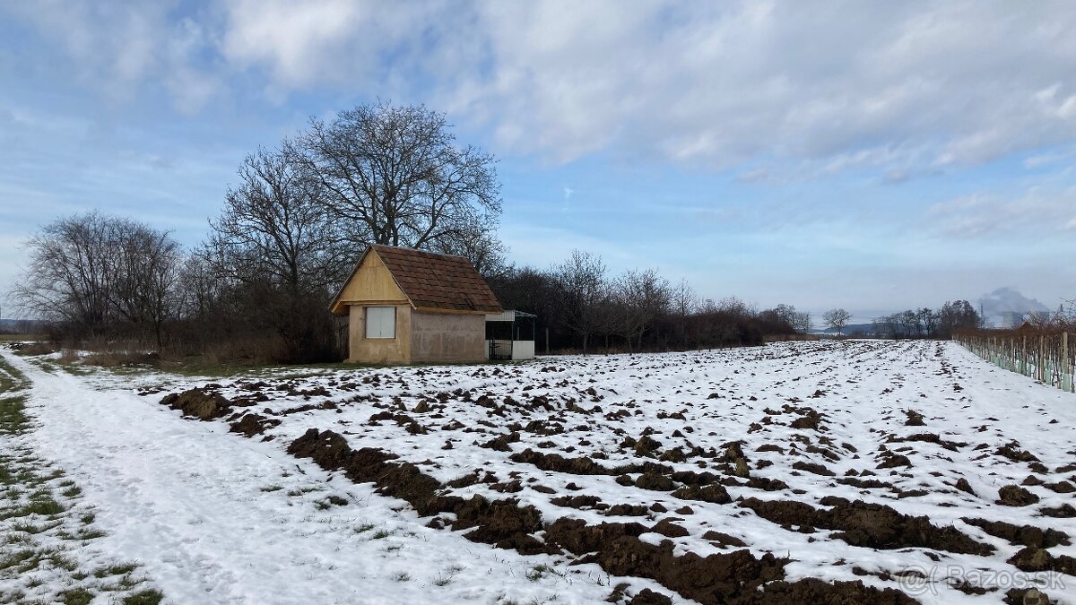 Predám pozemok vo vinicnej časti - 11