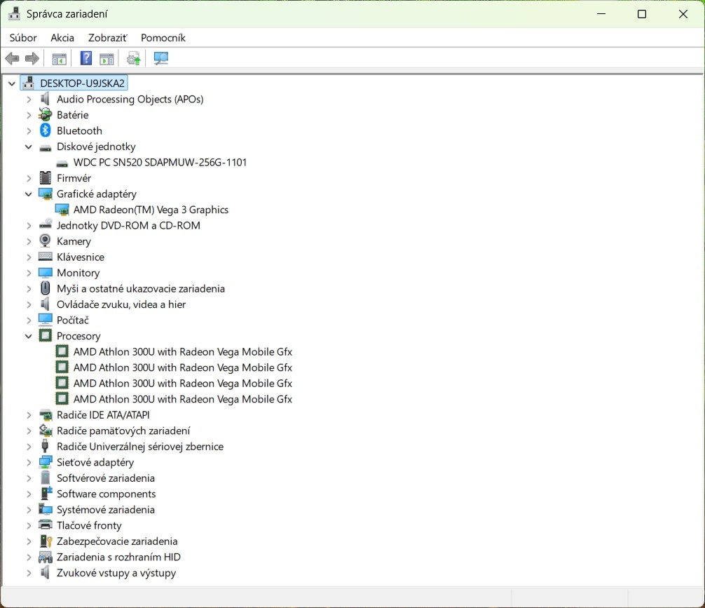 Lenovo V155-15API /AMD Athlon 300U/8GB RAM/FHD/256GB SSD/_2 - 11