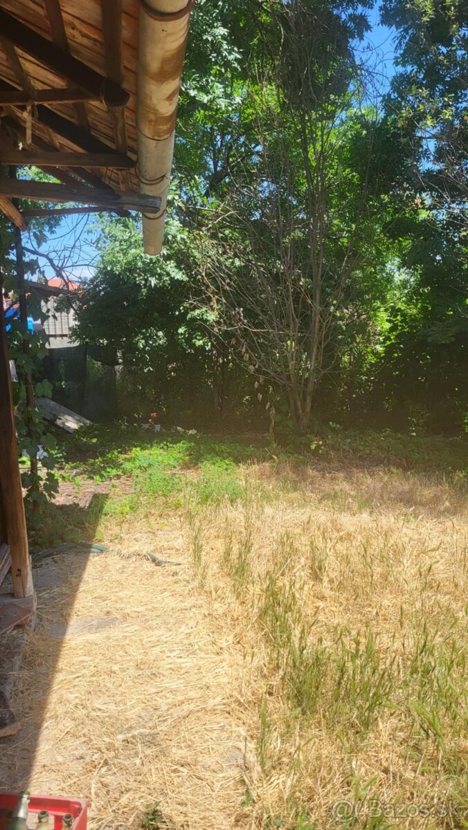 Na predaj RD Tekovské Lužany Veľký pozemok - 11