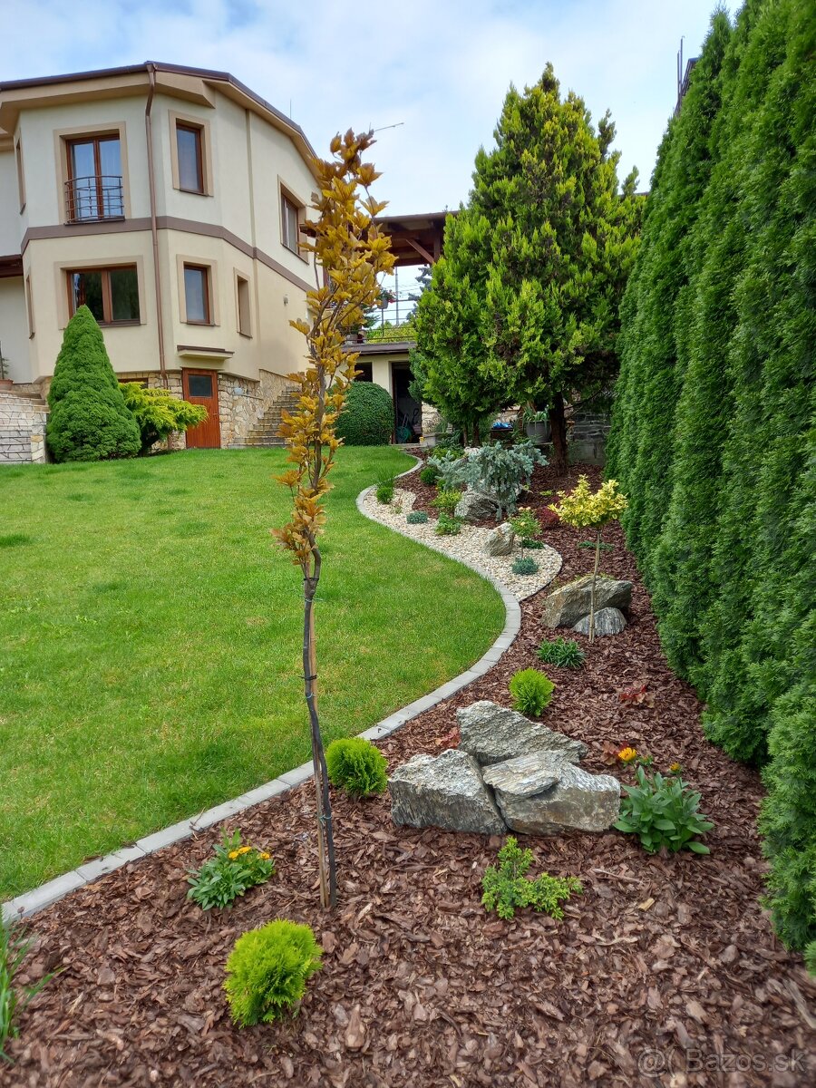 Realizácie záhrad,rez ovocných stromov a drevín - 11