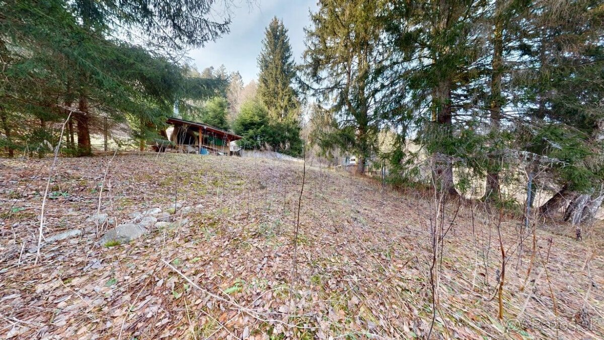 Pozemok v oblasti stavebnej uzávery pri Ružomberku - 11