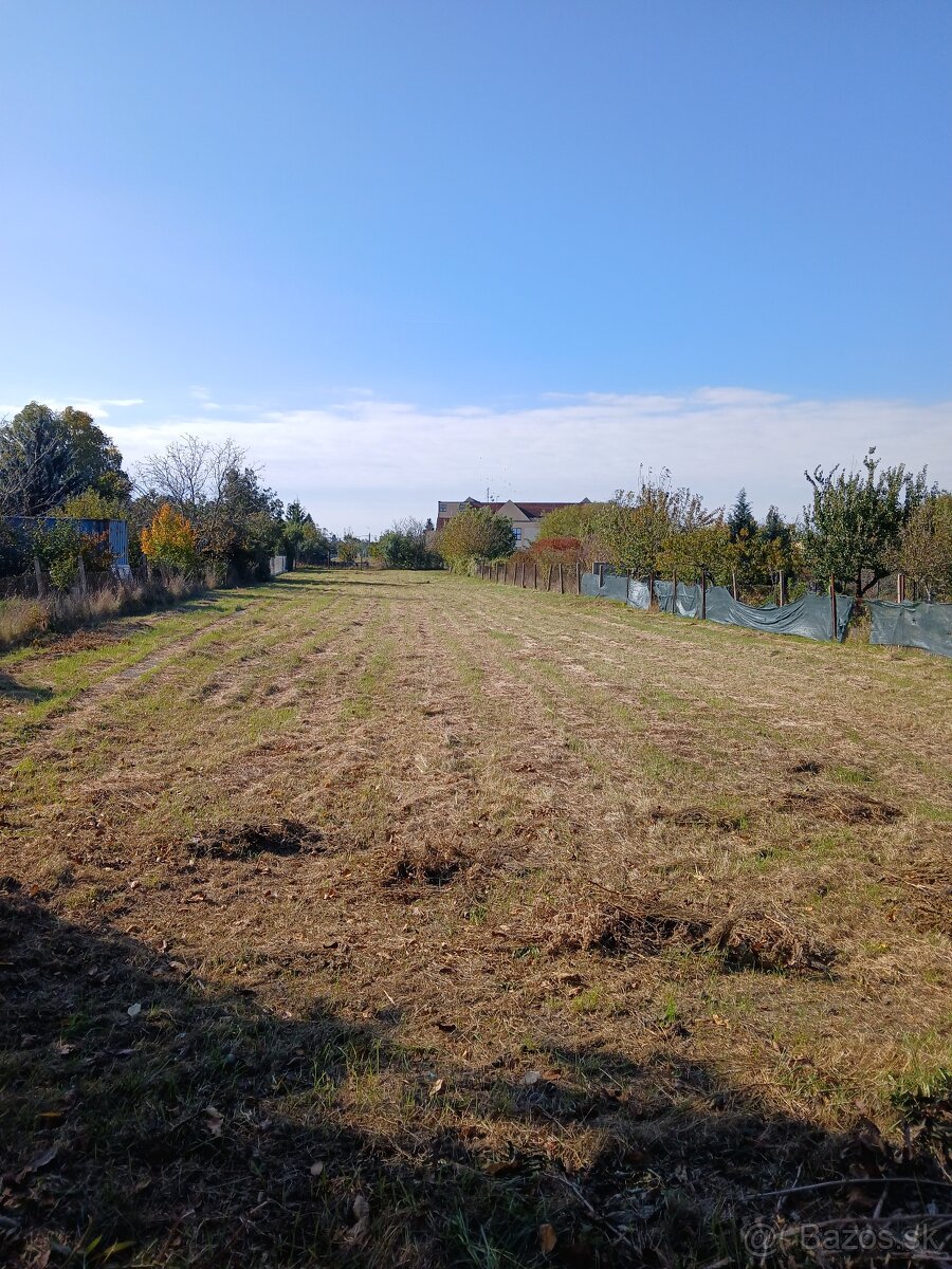 Predaj domu s veľkým pozemkom - 11