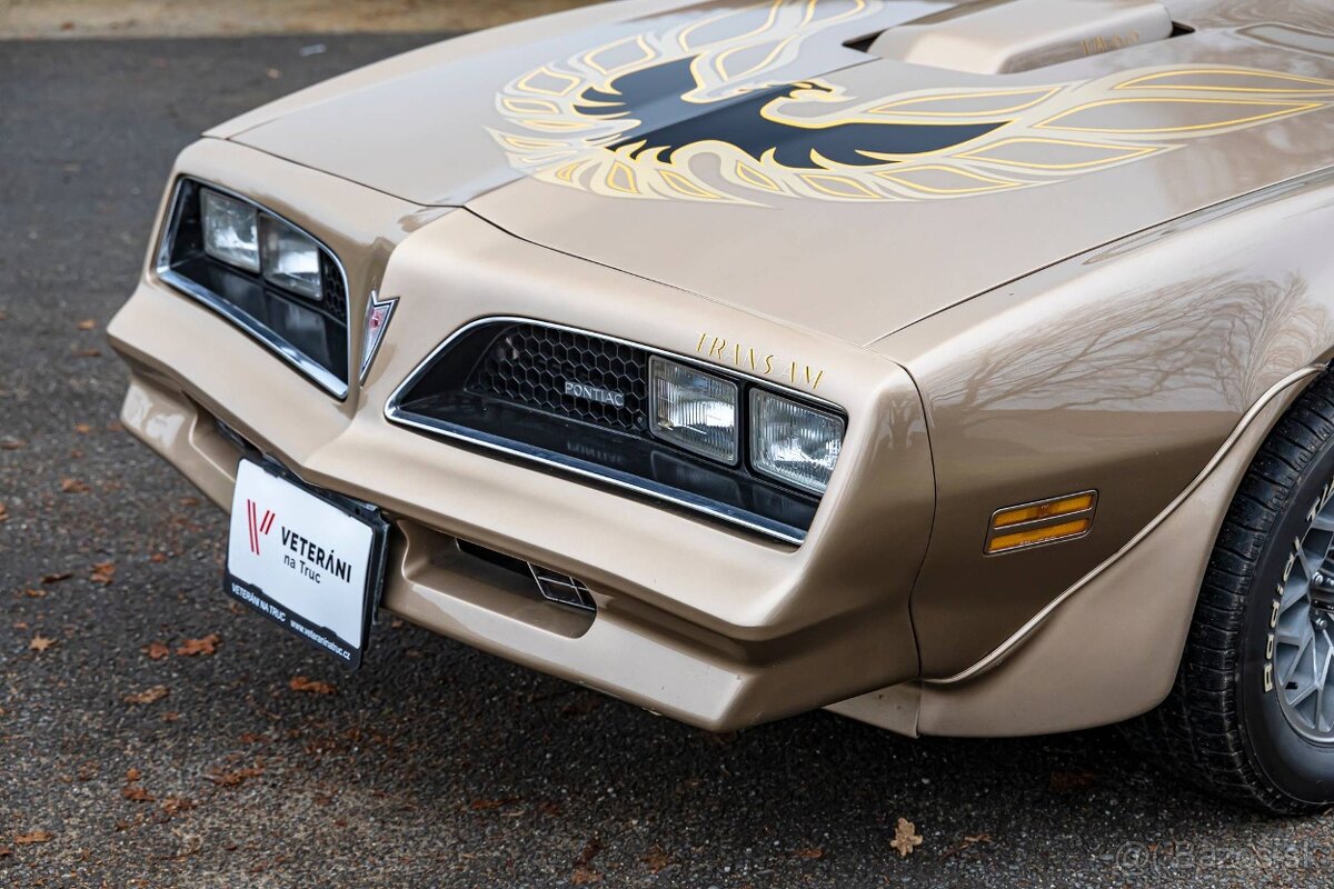 Pontiac Firebird Trans-Am 1977 - 11