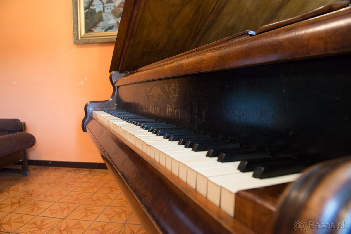 ALOIS KERN PIANO FORTE - 11