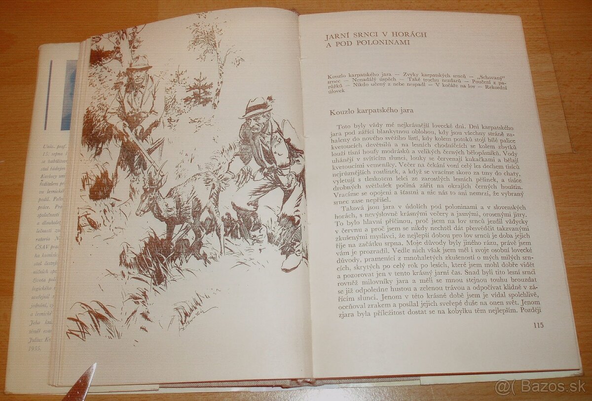 Lovy v Karpatech - 11