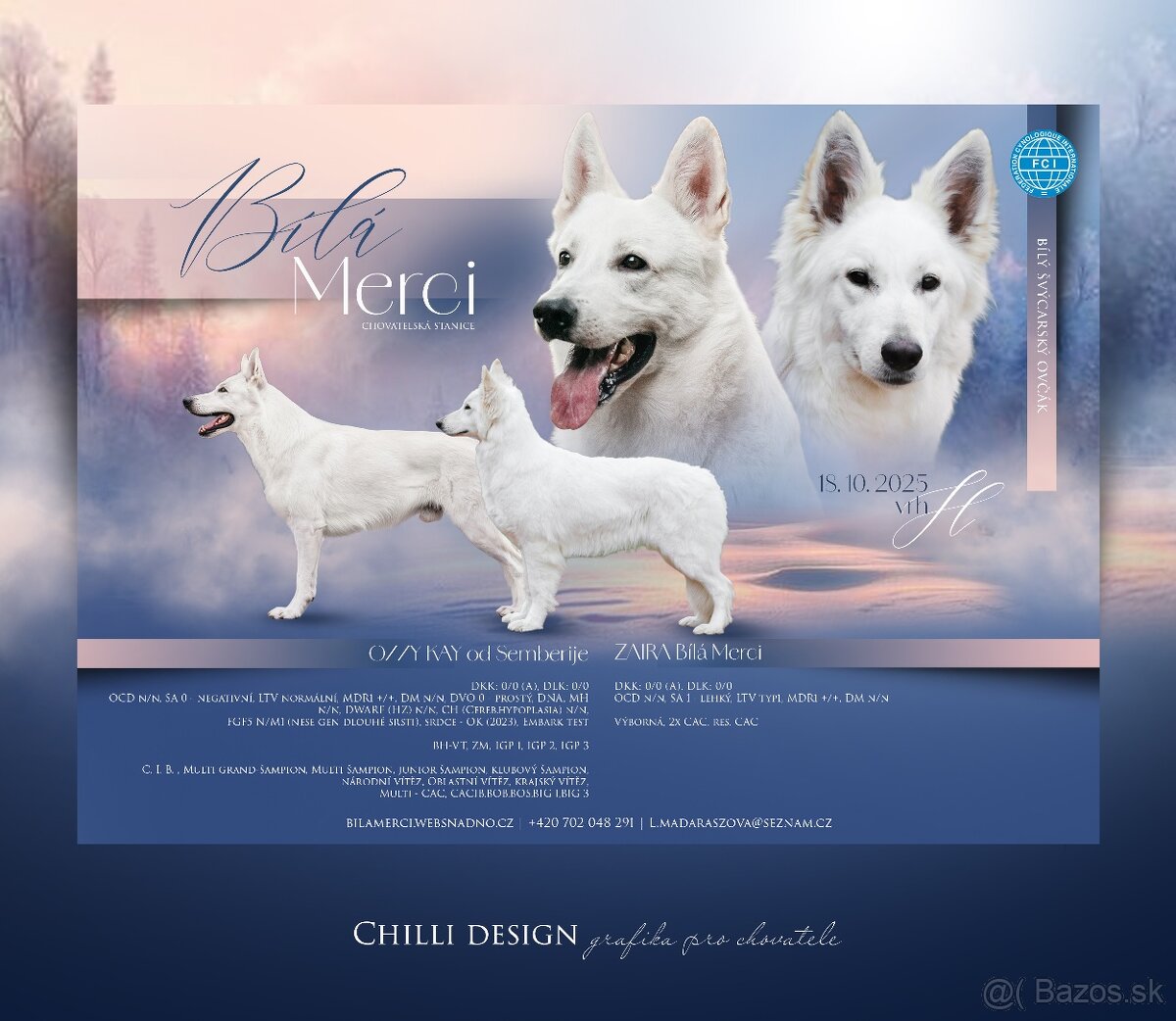 Biely švajčiarsky ovčiak , s PP - 11