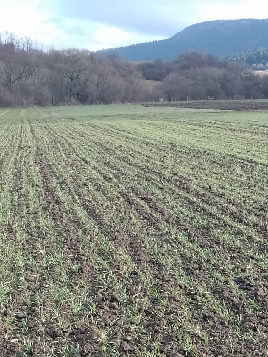 PREDAJ POZEMKU V KAT.UZEMÍ ĎURČINÁ - 11