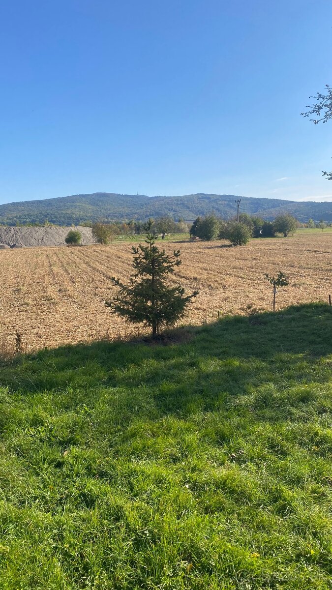 PREDAJ RD JELŠOVCE, POZEMOK 782 M2 - pôvodný stav - 11