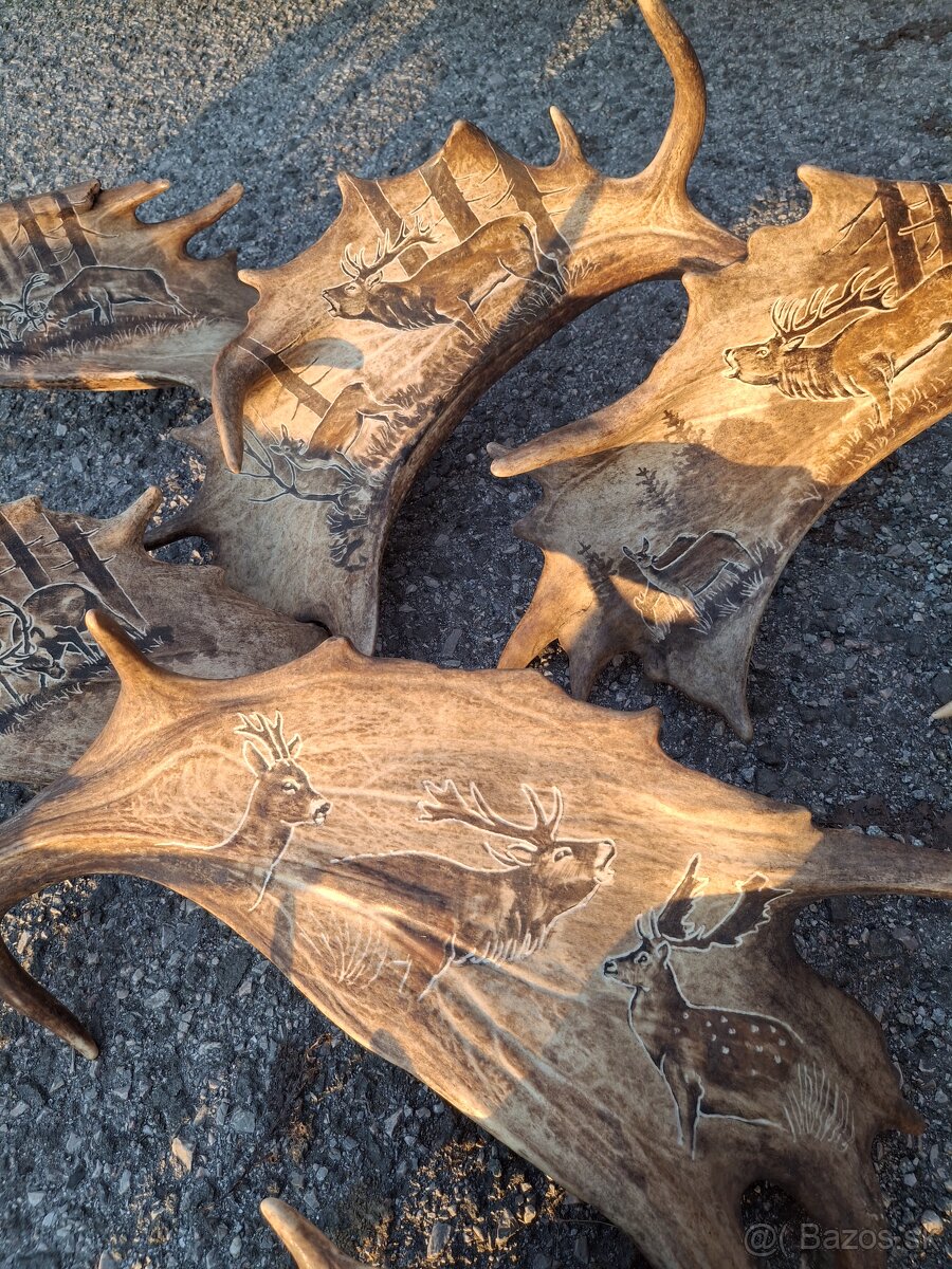 Parohy,zhody,trofeje - 11