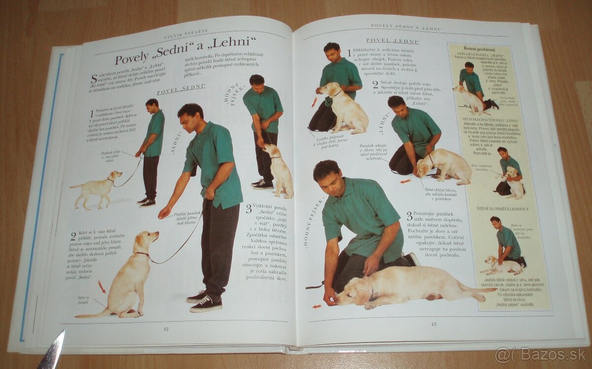 Výchova a výcvik psa - 11