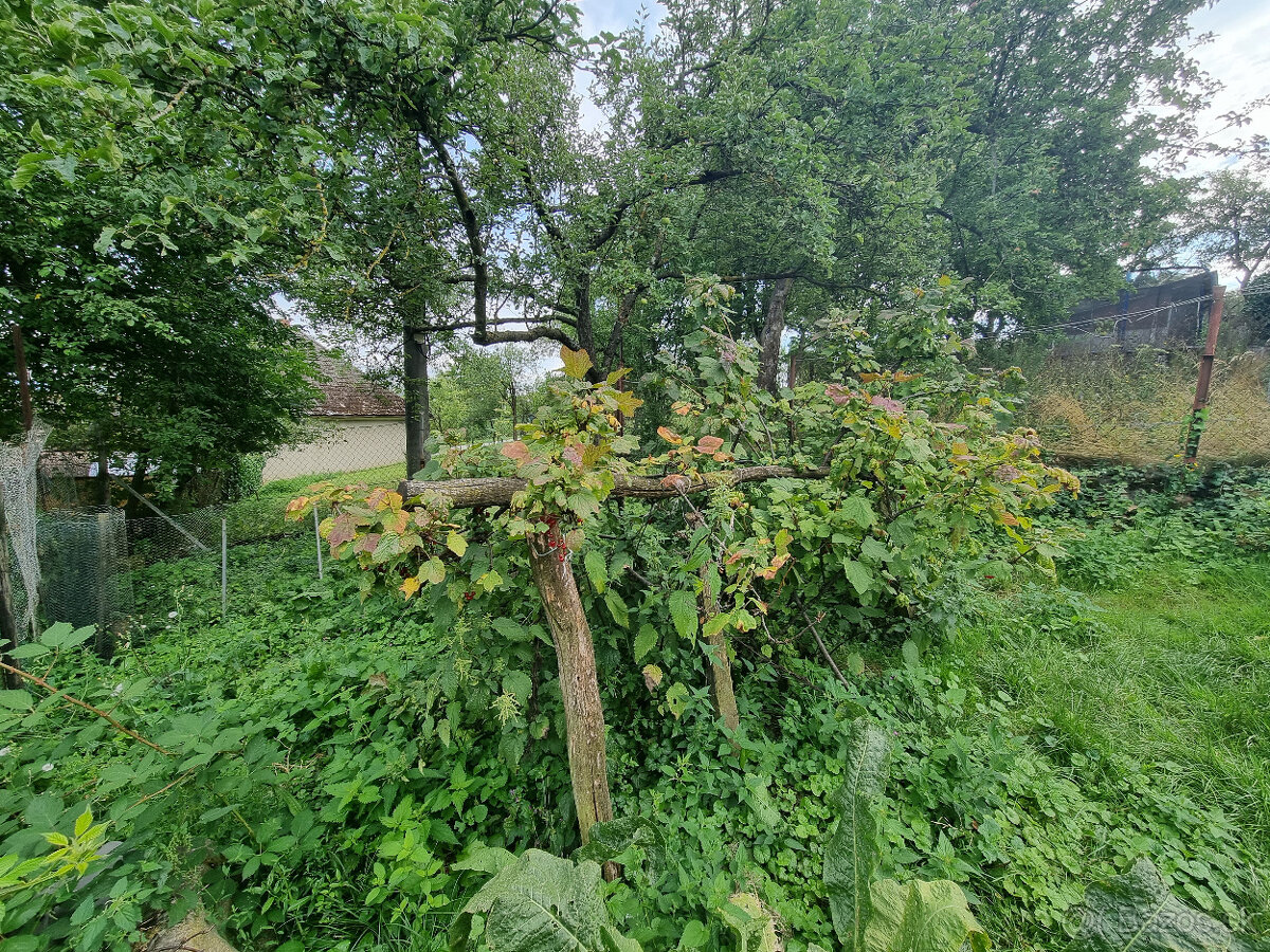 RODINNÝ DOMČEK a POZEMOK 641m2 HRAŠNÉ KOPANICE MYJAVA - 11