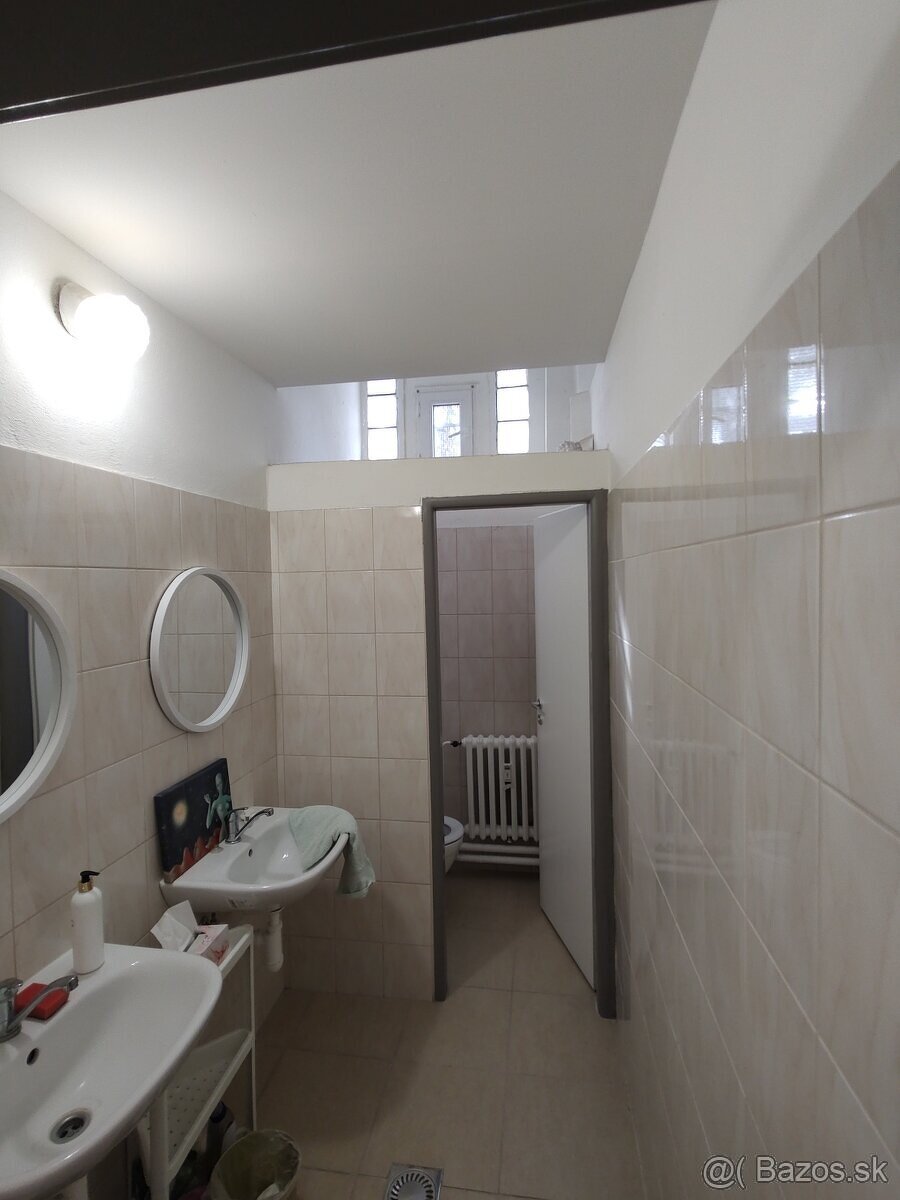 Nebytový priestor 34 m² v prízemnej budove, Bachova ulica - 11