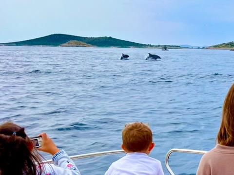 Apartmány Chorvátsko - prenájom - 11