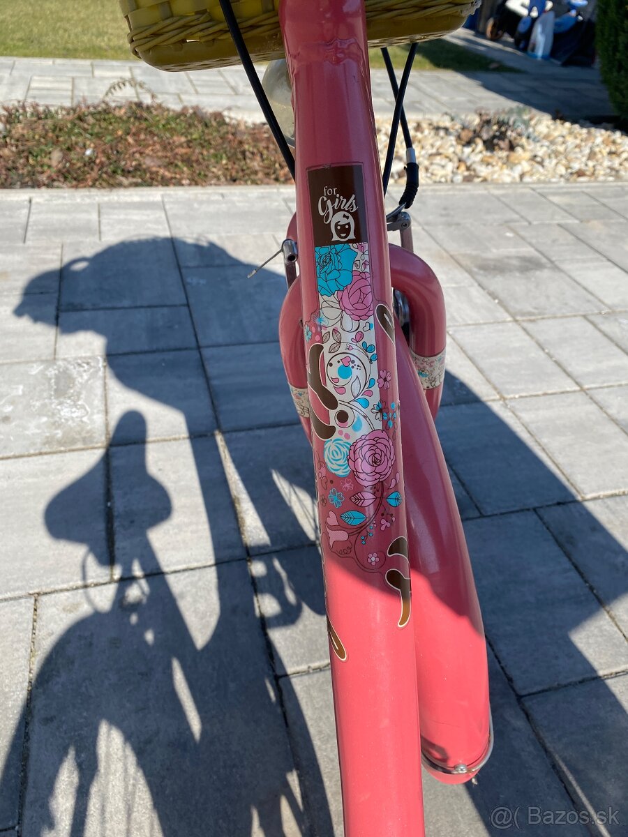 Kenzel Bella 24 - 11