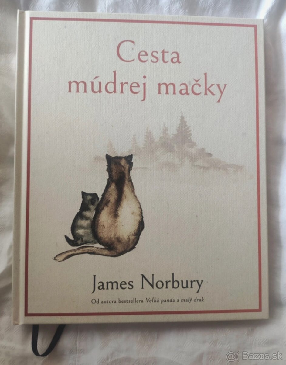 Veľká panda a malý drak; Cesta múdrej mačky - James Norsbury - 11