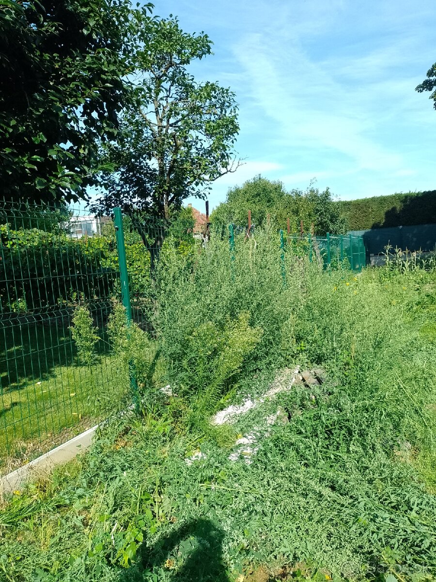 Zakladač trávnika - 11