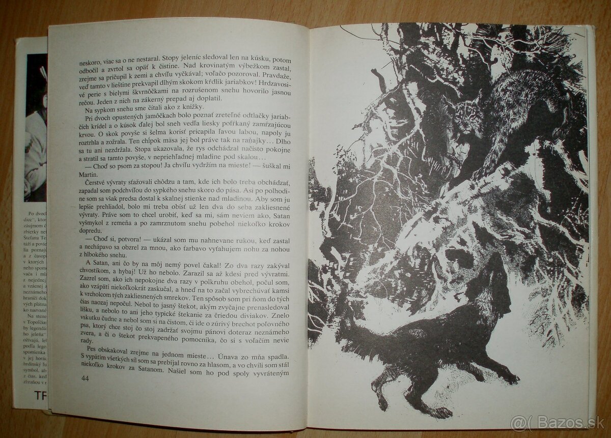 Trofej neznámeho strelca - 11