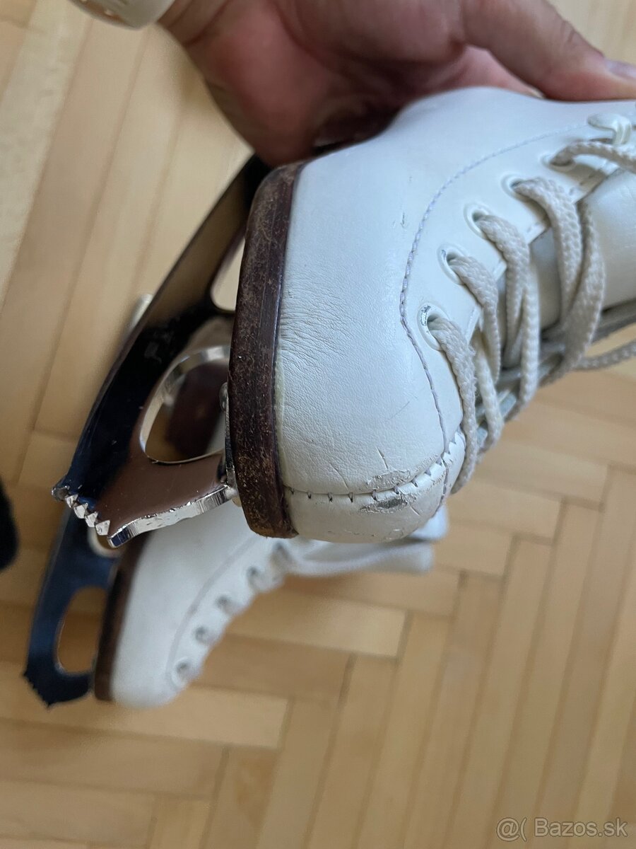 Wifa - korčule - 11