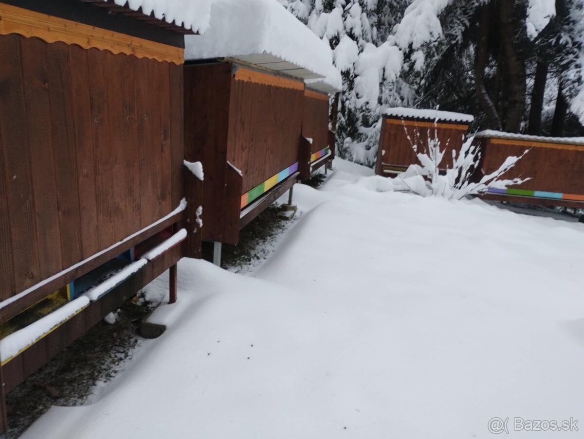 Predam domec pre 5 ulov - 11