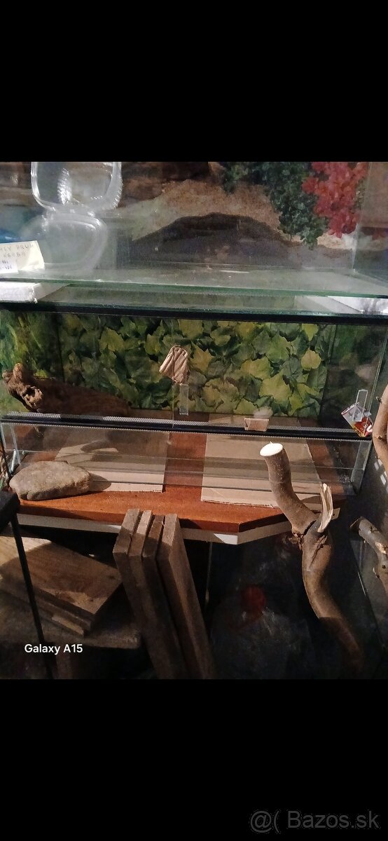 Voľne TERÁRIA - 11