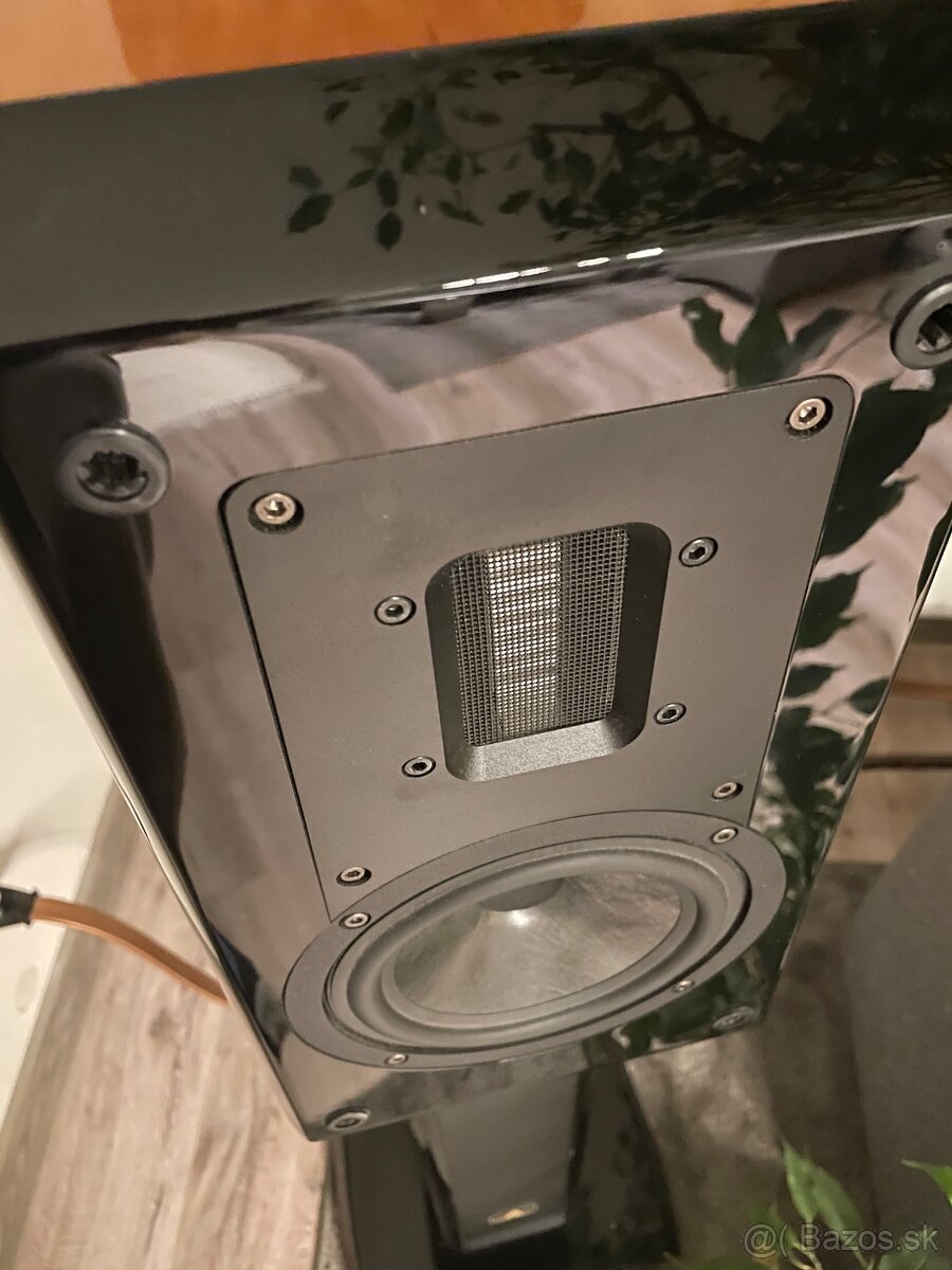 Aurum Cantus V2M - 11