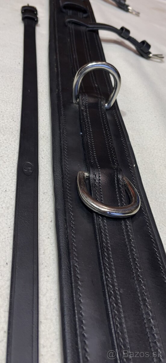 Poprsník k tažnému postroji, dvojspřežní - 11